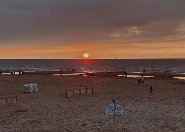 Zicht Op Zee Koksijde